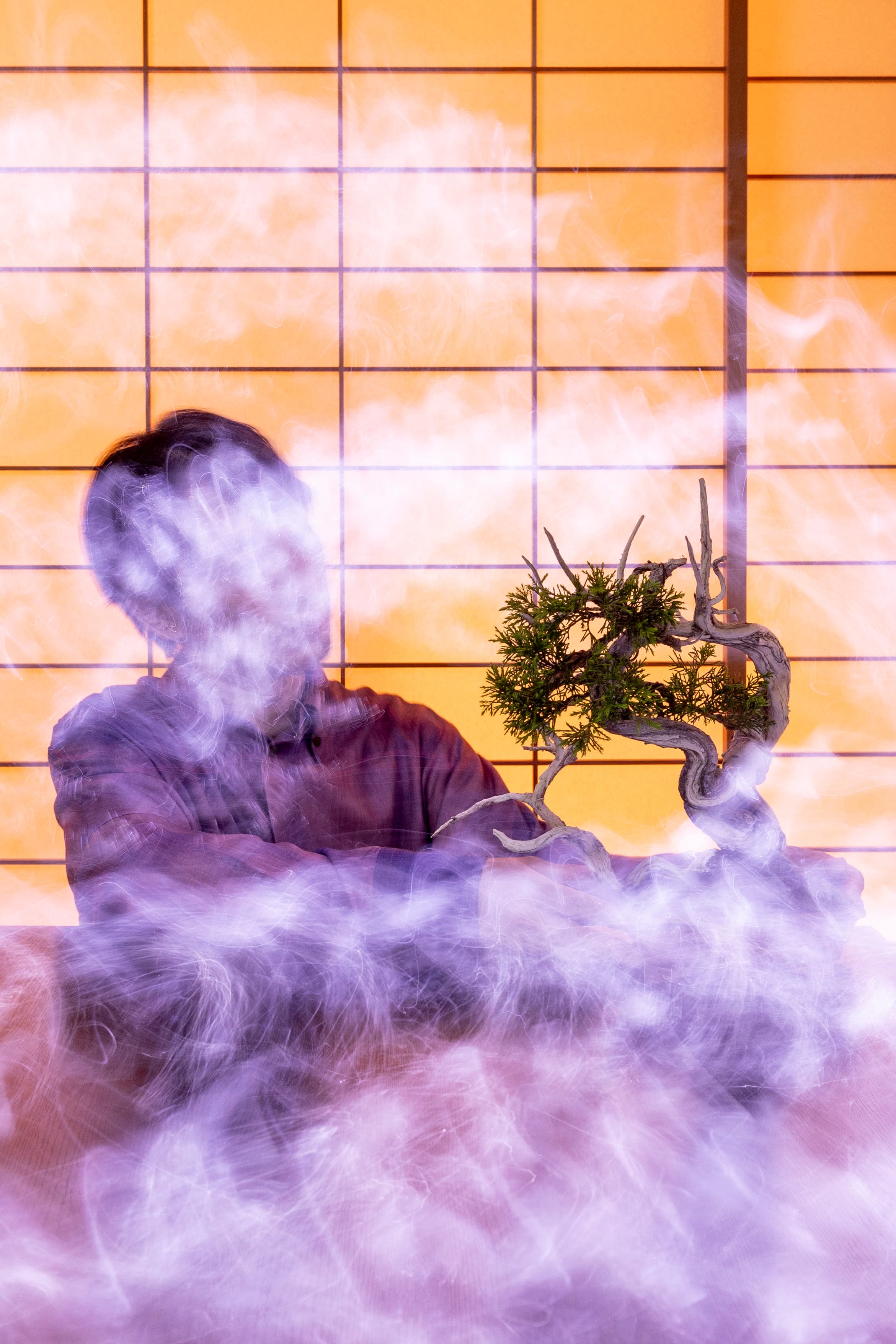 盆栽アーティスト 鳳真れお