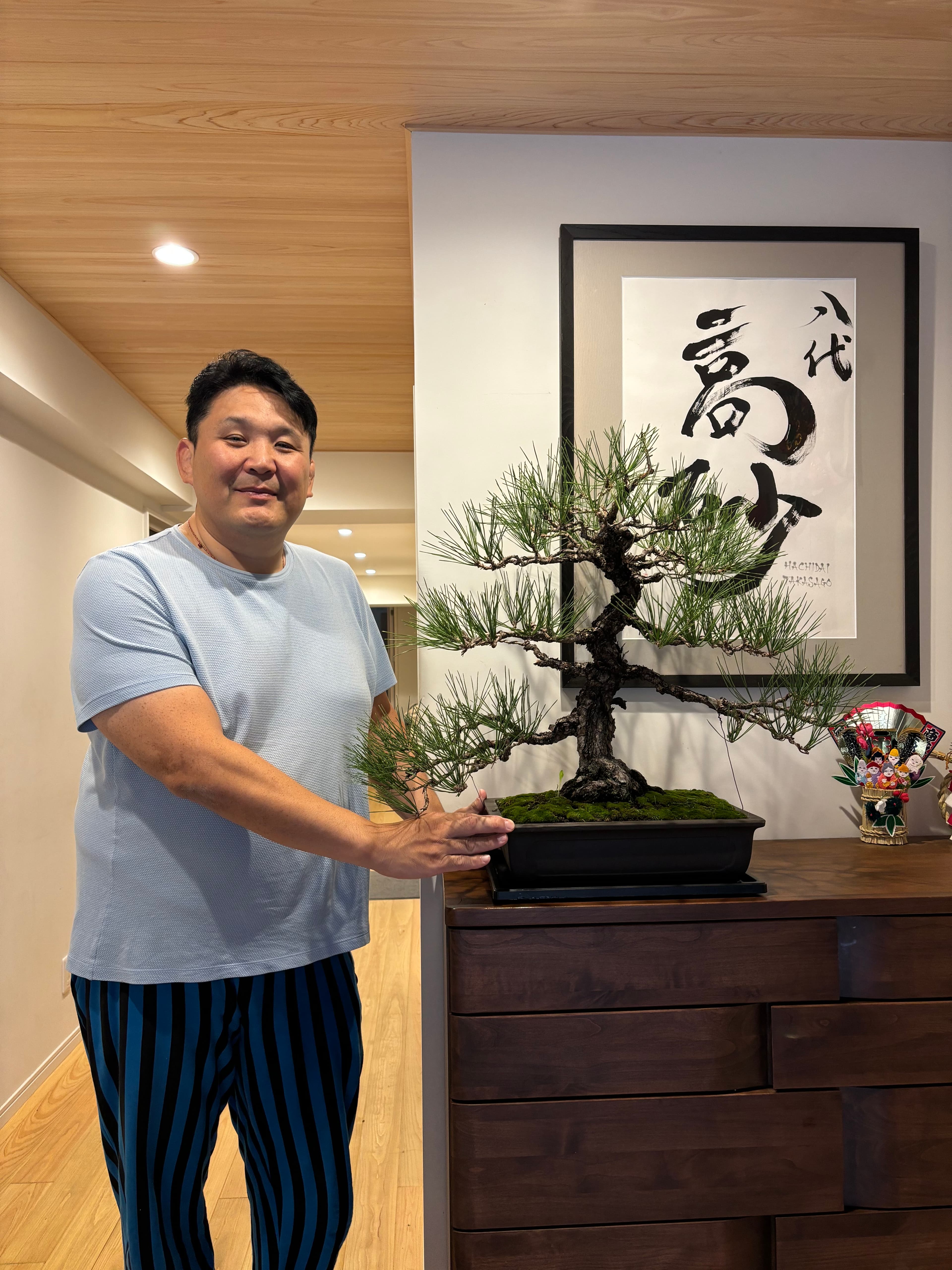 8代高砂親方をイメージした盆栽